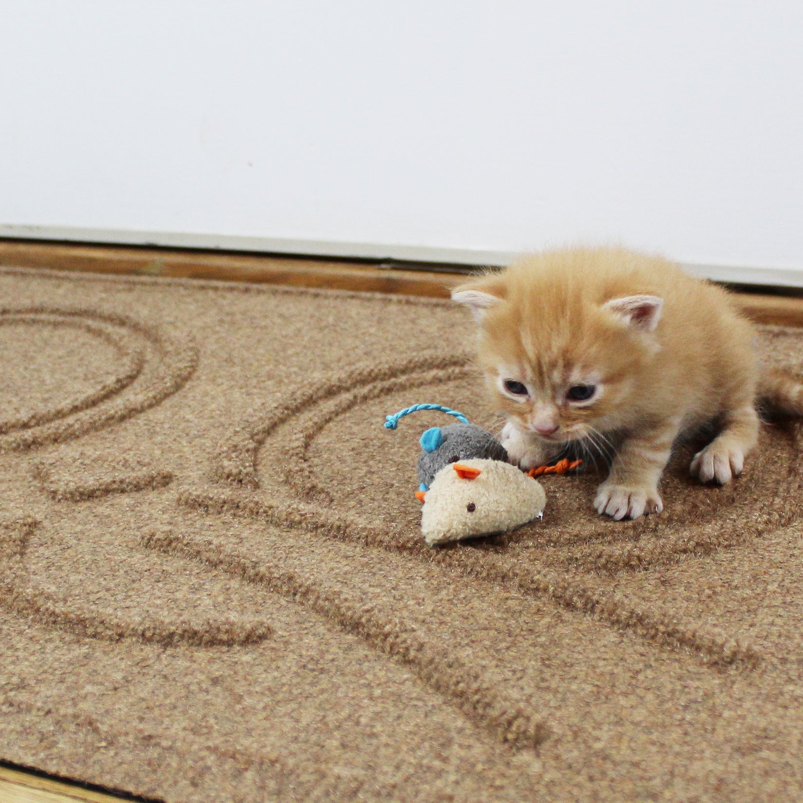 Waterhog® Kitty Face Bowl Mat